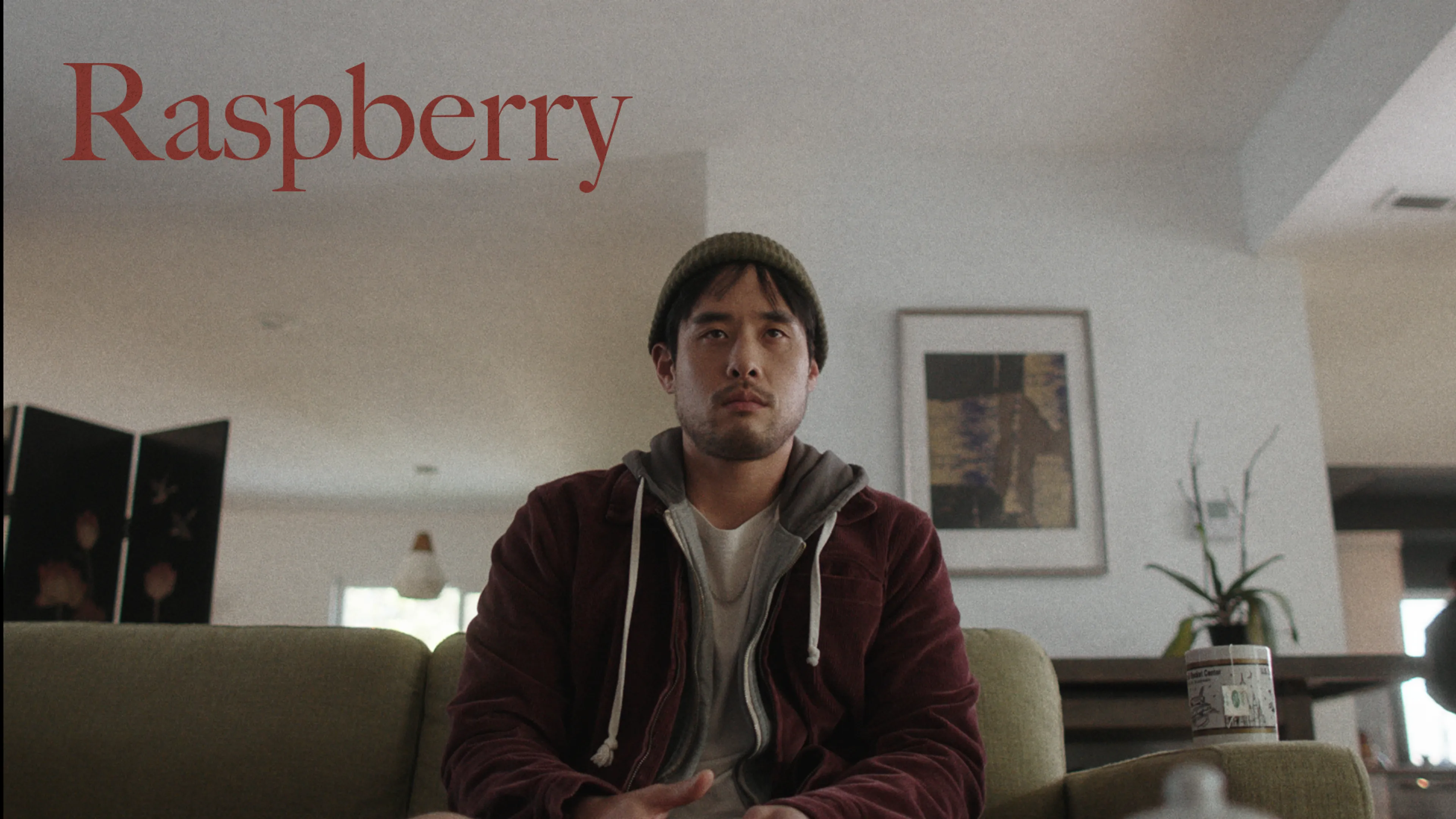 Raspberry poster